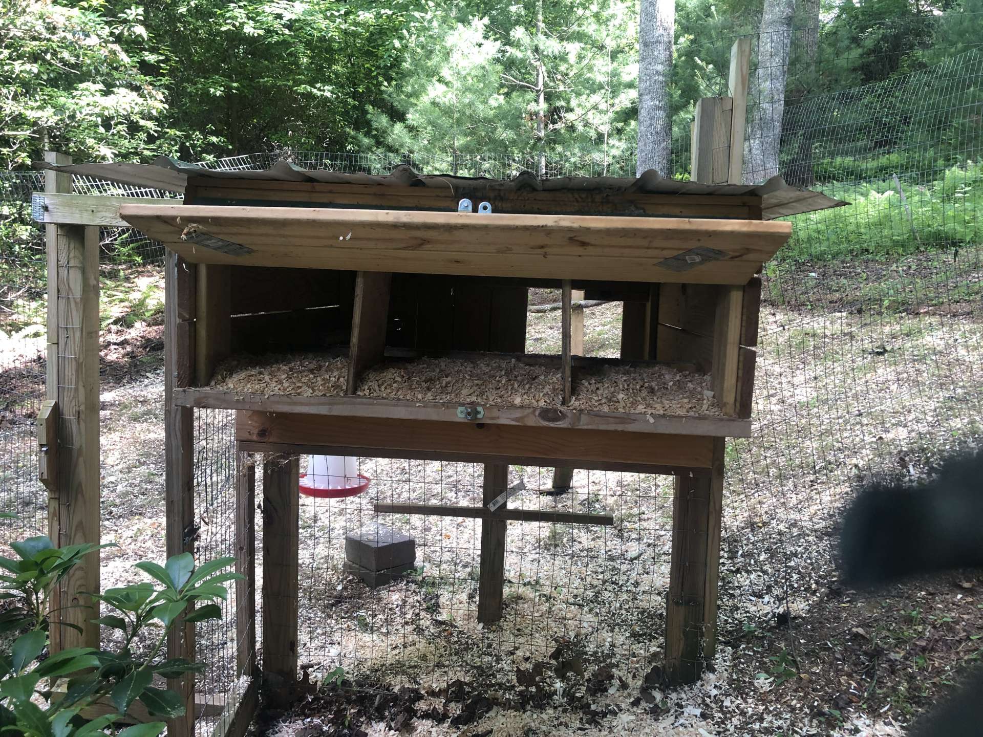 Chicken nesting boxes with wire fencing in place